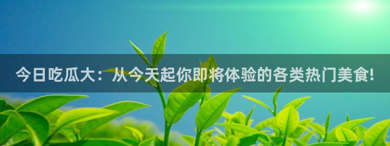 911吃瓜入口导航