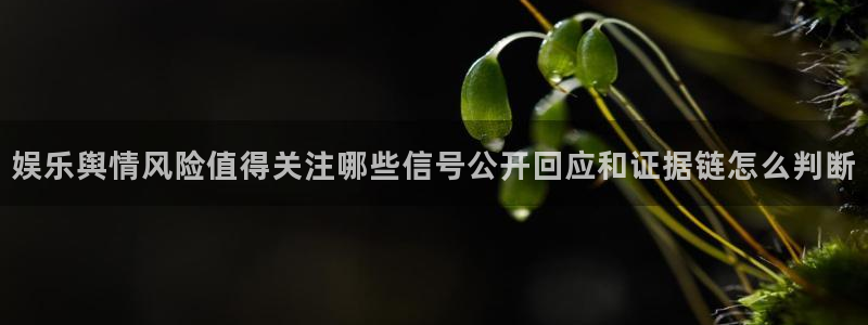 911吃瓜网站导航：娱乐舆情风险值得关注哪些信号公开回应和证据链怎么判断