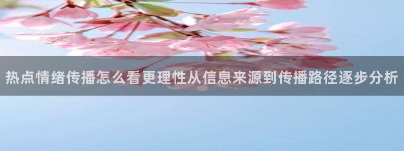 热门话题大全：热点情绪传播怎么看更理性从信息来源到传播路径逐步分析