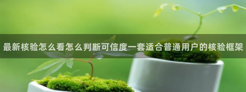 吃瓜热点动态