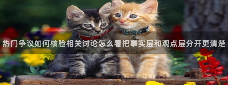 吃瓜热点话题