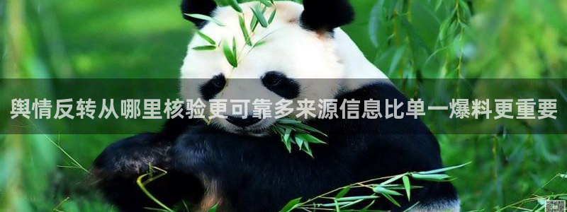 网络话题爆料
