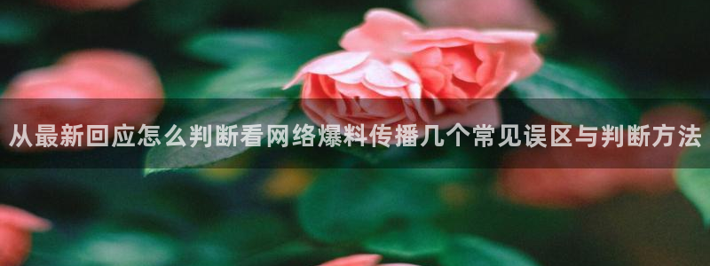 911爆料热门资讯