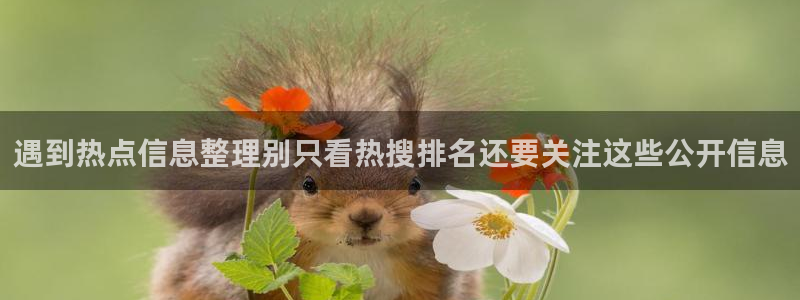 911吃瓜页面入口