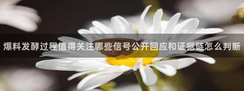 最新网络资讯