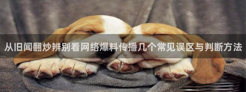 吃瓜热点网