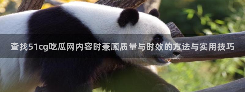 911吃瓜网络热搜
