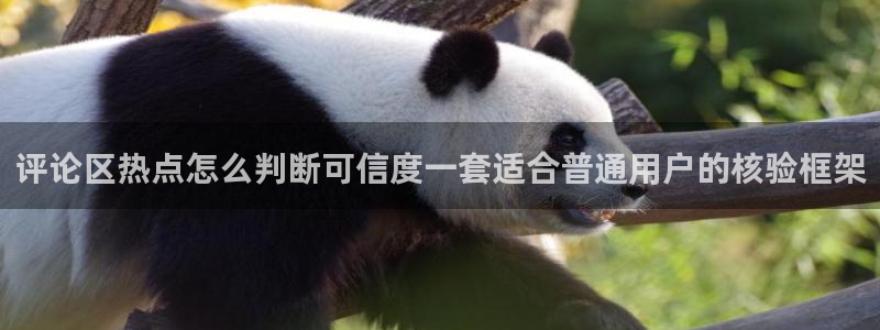 热点资讯排行