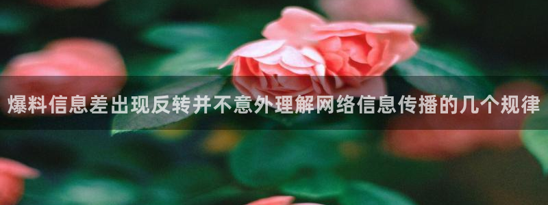 911爆料事件